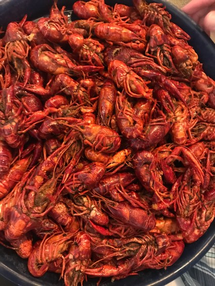 0F621A76-3178-459B-95F8-C1E872981325