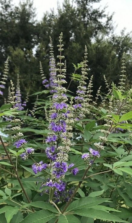 1F4E25AC-6640-4C17-9D74-FED380072B14