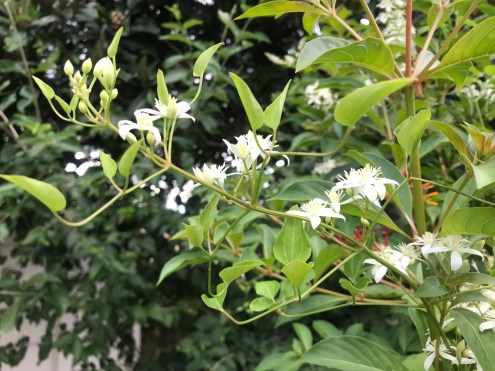 36D00B20-2D69-47EC-A3ED-655126760B8E