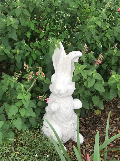 3AB717E7-7053-49DA-90A0-A7158DEDD975