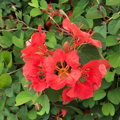 4A034B6C-C218-4E96-9D12-DDBBCC156618