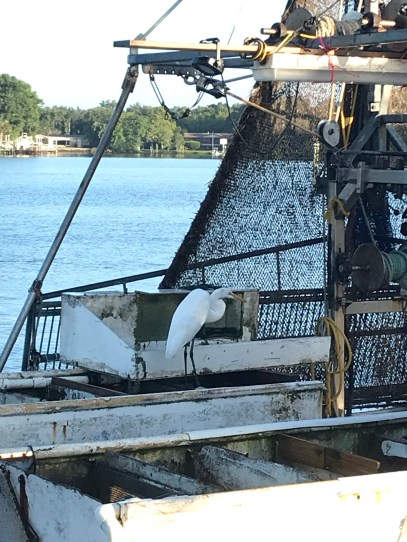 6367CDEF-6380-4C4C-9219-F04E06224672