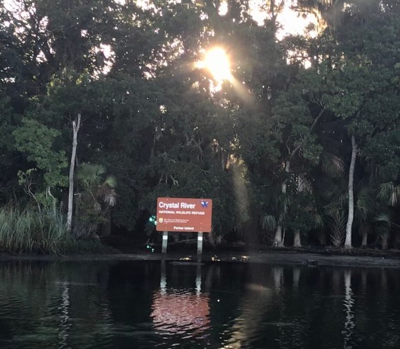 8335E03D-AE7E-4B10-B87D-F11CA82A78AB