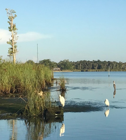 8E0CD402-90FA-48DA-BDE2-011CE54AEC4F