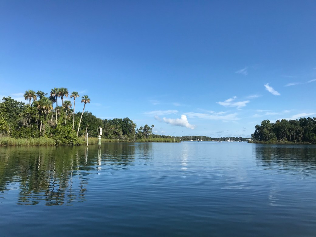 91023FB7-CC0B-4BFC-AF4F-306F04D97E06