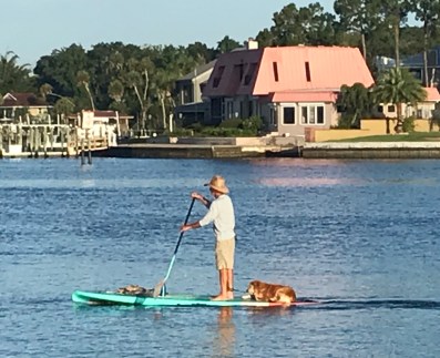 96A34228-F457-46BE-92DB-4F1DFDD45542