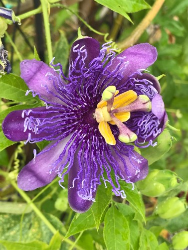 AF90A9DA-E2F8-4CB6-A8B1-78CFD75EDD81