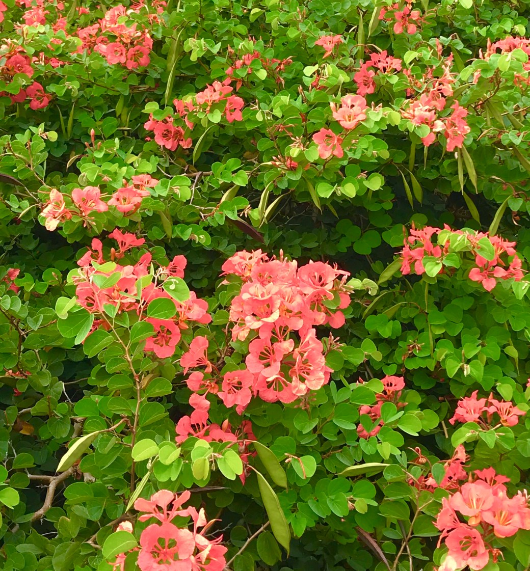 B0D53CBC-6844-4033-8190-AFBC4B4A009D