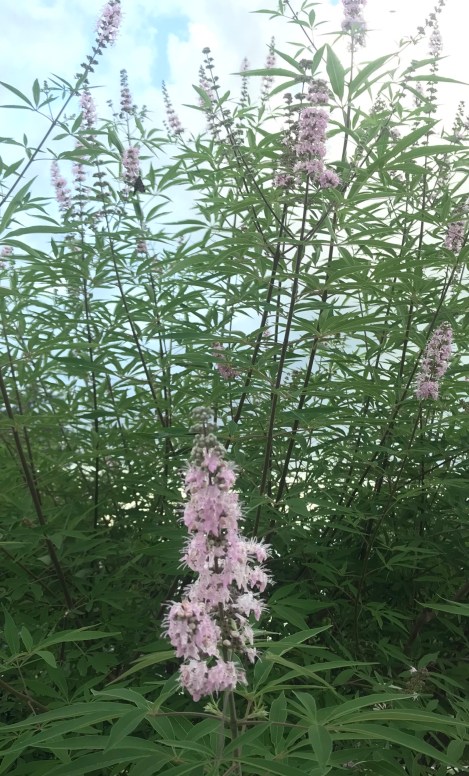 C5691842-FD07-4A75-9472-A69B4520FAF4