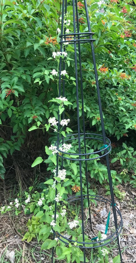 CF9CEE4B-7783-4DF3-B9E7-7BE25E318EF4