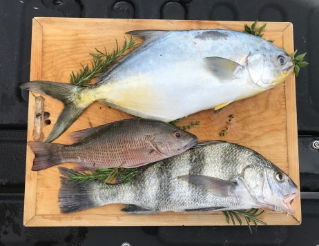 D234DD40-4B19-4EDB-B8A3-0BAAF350F703