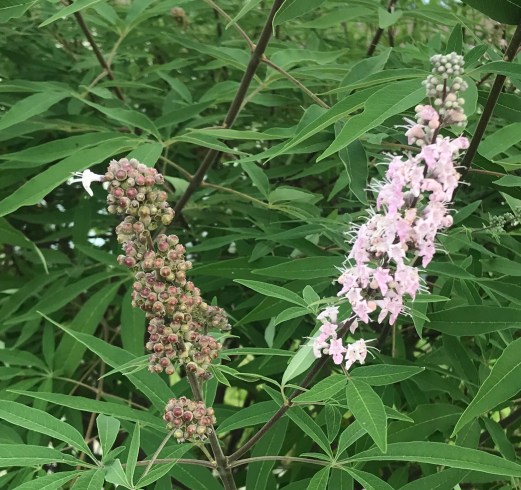 D7CB37B0-A020-4EF2-98D9-4A330B2B15BB