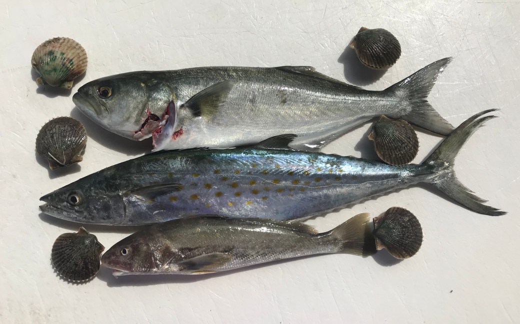 E8ACA6EF-635D-484D-B2E7-886D6D7F9B69