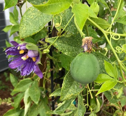 F4486BAD-36AB-4EB8-BDB4-C75C364312C8