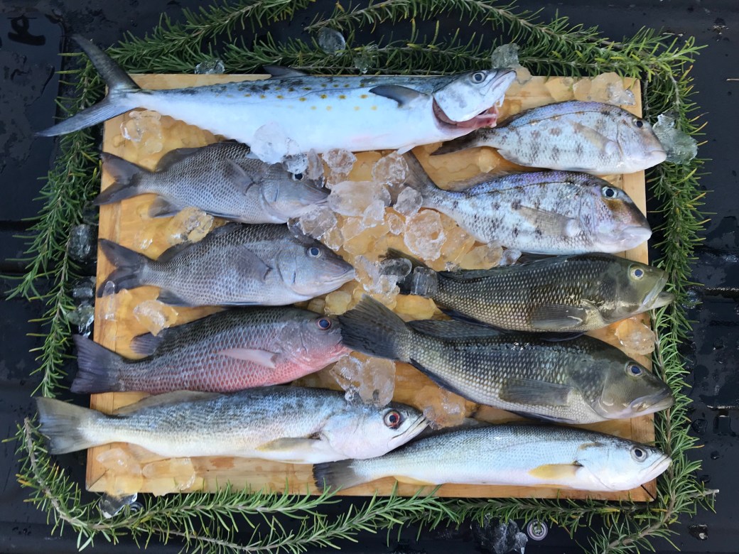 F589A60F-574C-4C43-80C3-3D7E1D208423