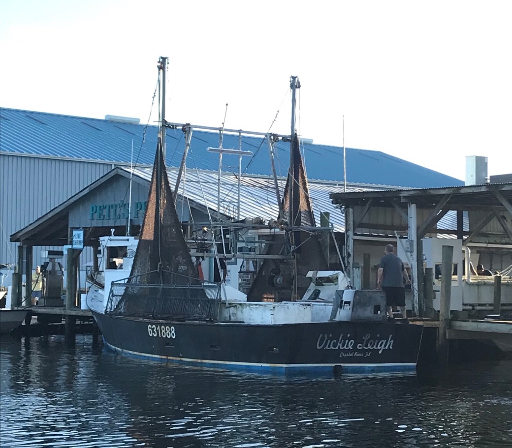 FBB6D42C-7829-498D-A366-382EF935B1E8