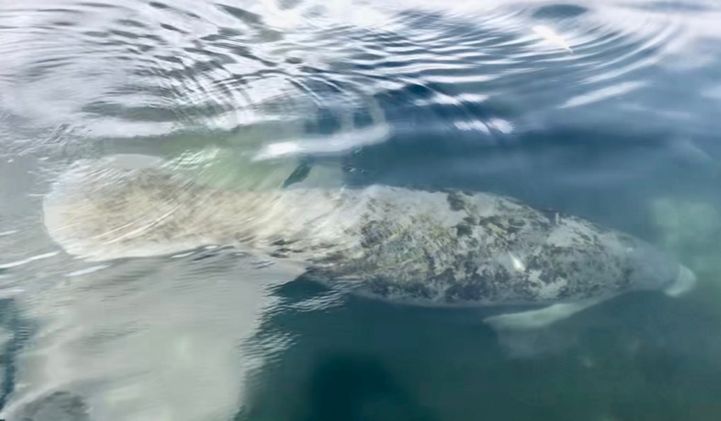 3FDAA35B-999D-4627-838D-7E175E8C01D3