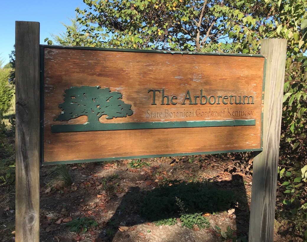 6682A0D7-6DAA-4303-AF7D-011018BB3FDD