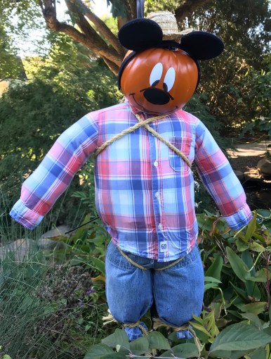 975B27D1-F7E8-475B-86C1-C4B473C9C12F