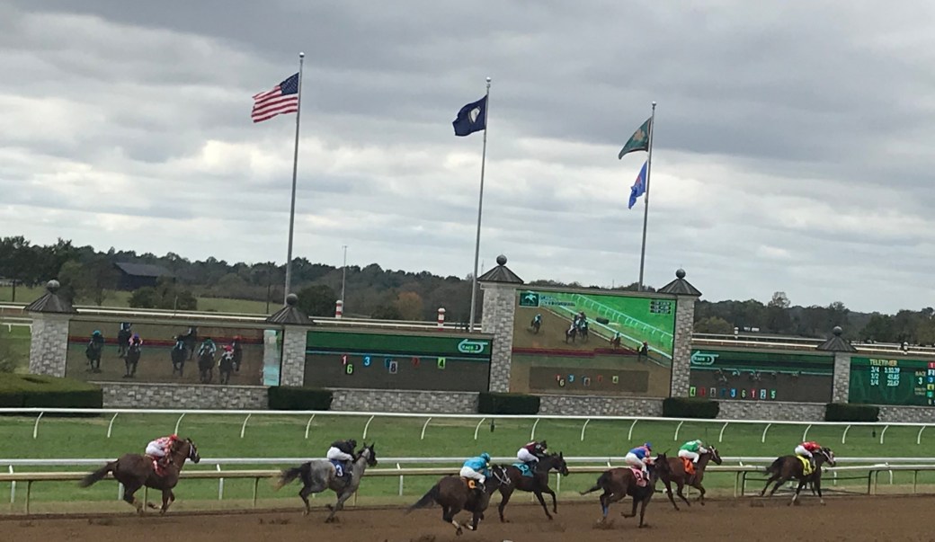 AA4A18E4-9C2A-4533-B2C0-7A0A80D5247E