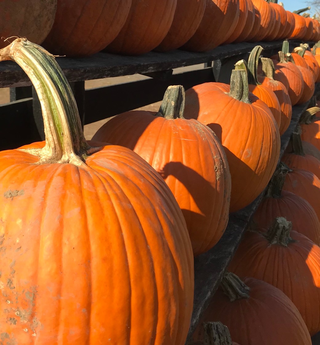 E50DBF6D-E4BF-49FD-AE22-7995E6B5FADC