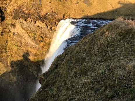 1BB786AE-7DF9-4404-A44A-5C1024D8B767