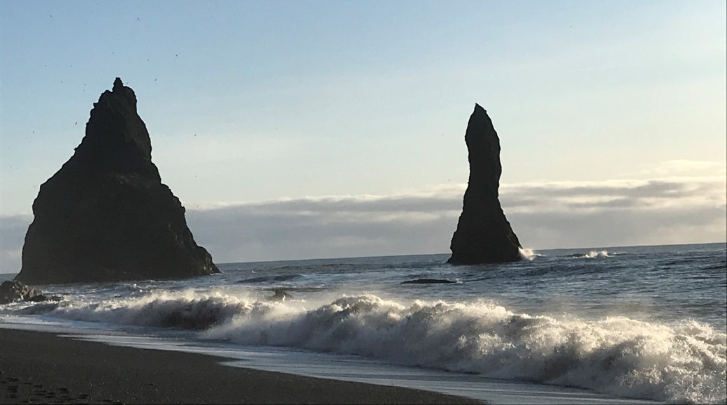 A47D3E10-5571-468B-AB87-765FDBC8D0D1