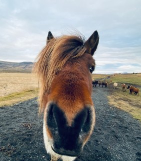 AD02D7D6-A40E-48B6-BABA-524983C645C1