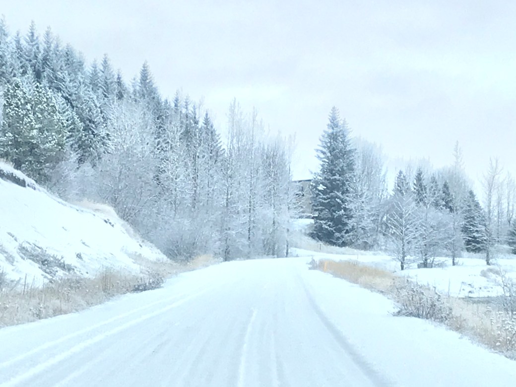 C6EE6805-A227-464B-BCF4-1B055B54963C