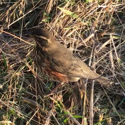 CF3188EA-CA91-4301-B4A6-EFF0466C25A8