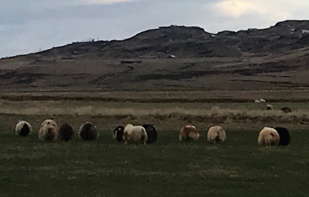 E3E922C7-2CB4-4682-8789-685E80A6094D