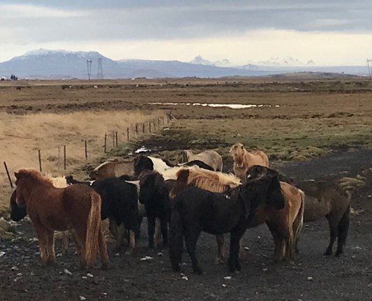 E9F73E0F-14F4-4BD1-A3B2-2964F2C37BE0