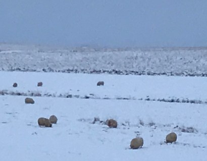 846EAABD-3551-4B47-A42A-7B46FD520FEA