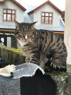 C58A29A1-8268-4BEF-9AA7-262CE28A542C