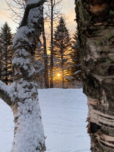 F1C36DF9-E26E-4594-A3A5-ECECD12812DB