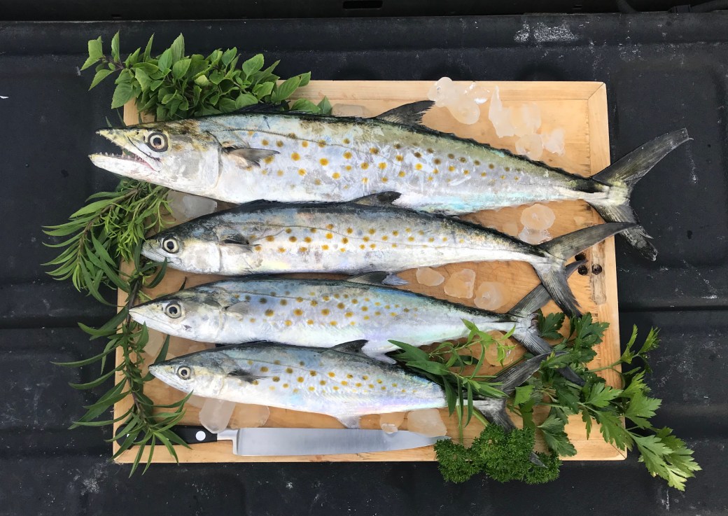 644E4591-033D-4CFF-9D27-8BAF4E7A869F