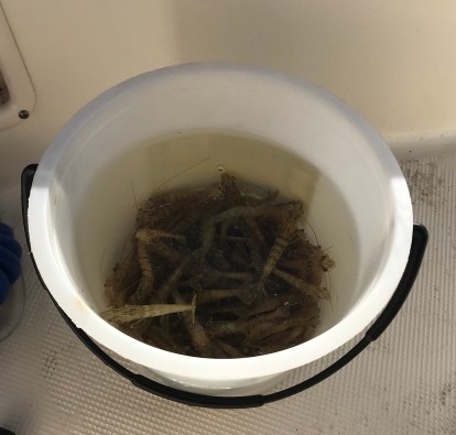 FAB00DE7-24CE-42CB-A861-108665BCCB5C