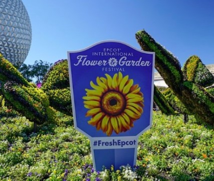 27954B19-351F-4658-888F-699A0243B8A1