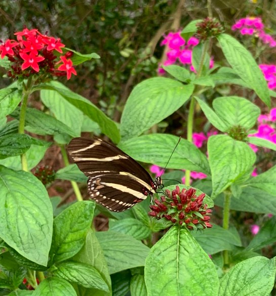 46FB0AF3-C9F8-4197-B880-0EBA1083F806