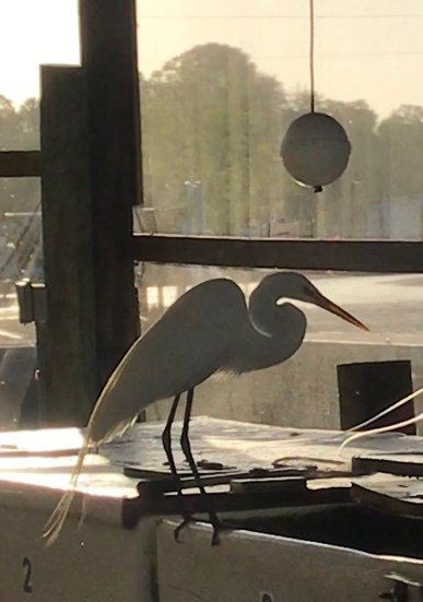 88995303-EA5E-4D9F-83DF-497A7E1F415D