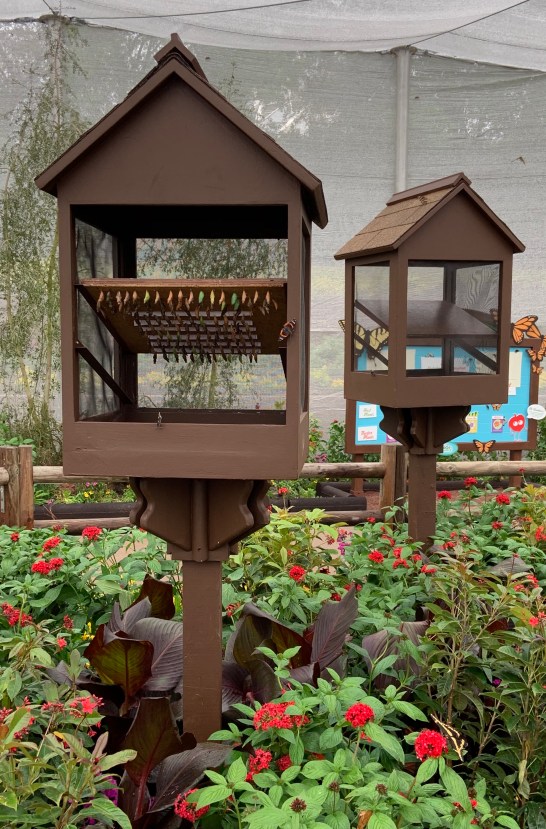 B45BC1CD-135D-4CD8-B5DB-7E40797D5C07