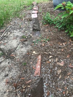 5F739CE0-52AC-40AD-B6CE-EFDEFD02DFEB