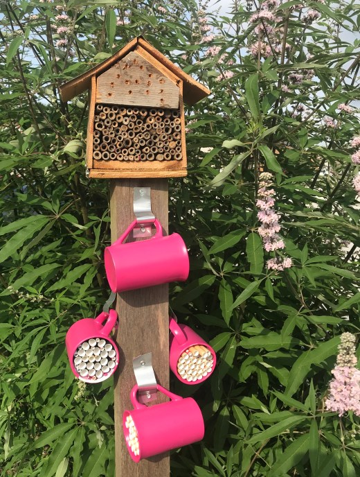 78E5D34B-E5FF-432A-9DC9-BFD1C4244D7C