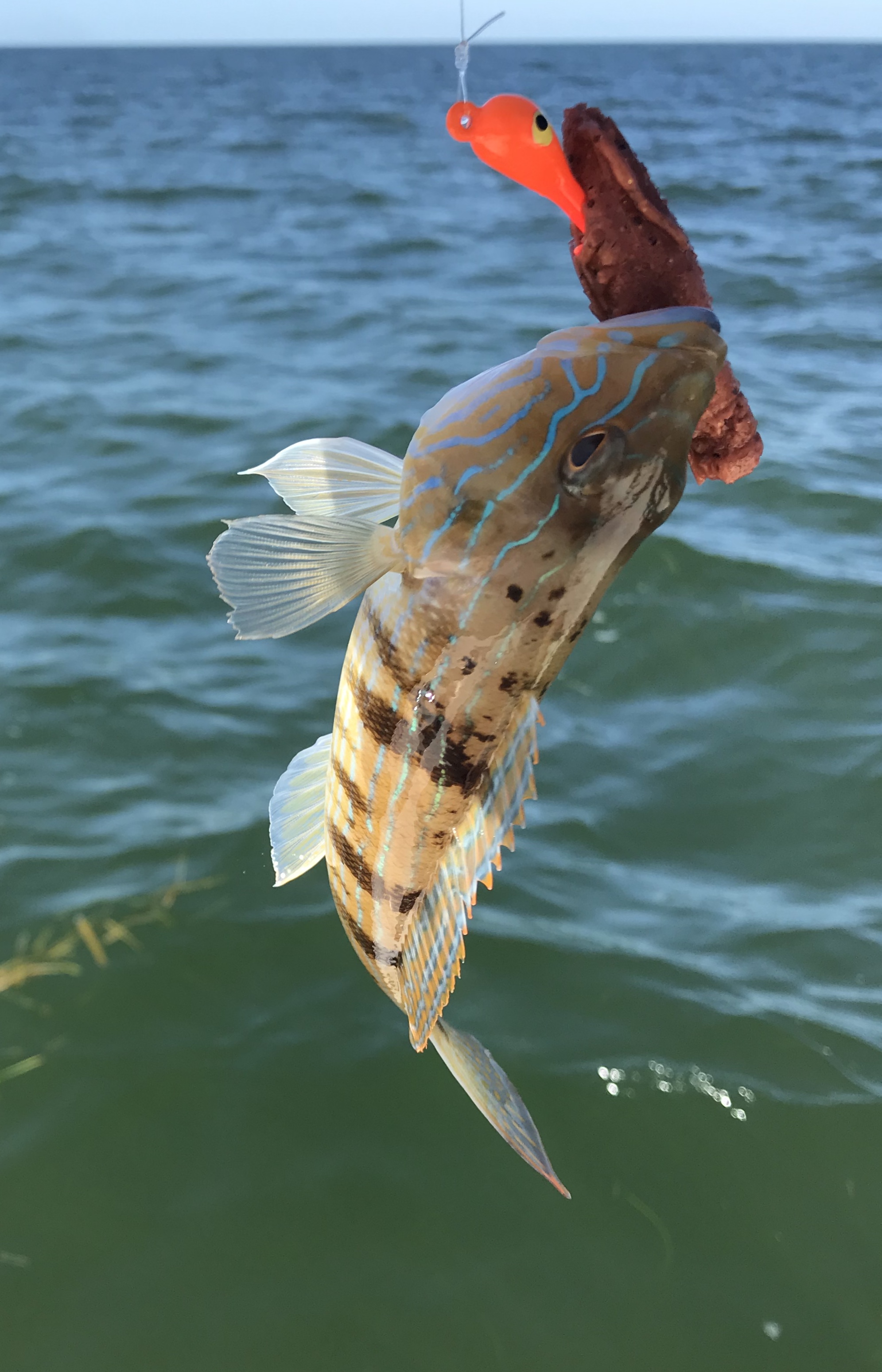 010D72BD-5E9C-428E-89E2-0BCB5366DCCE