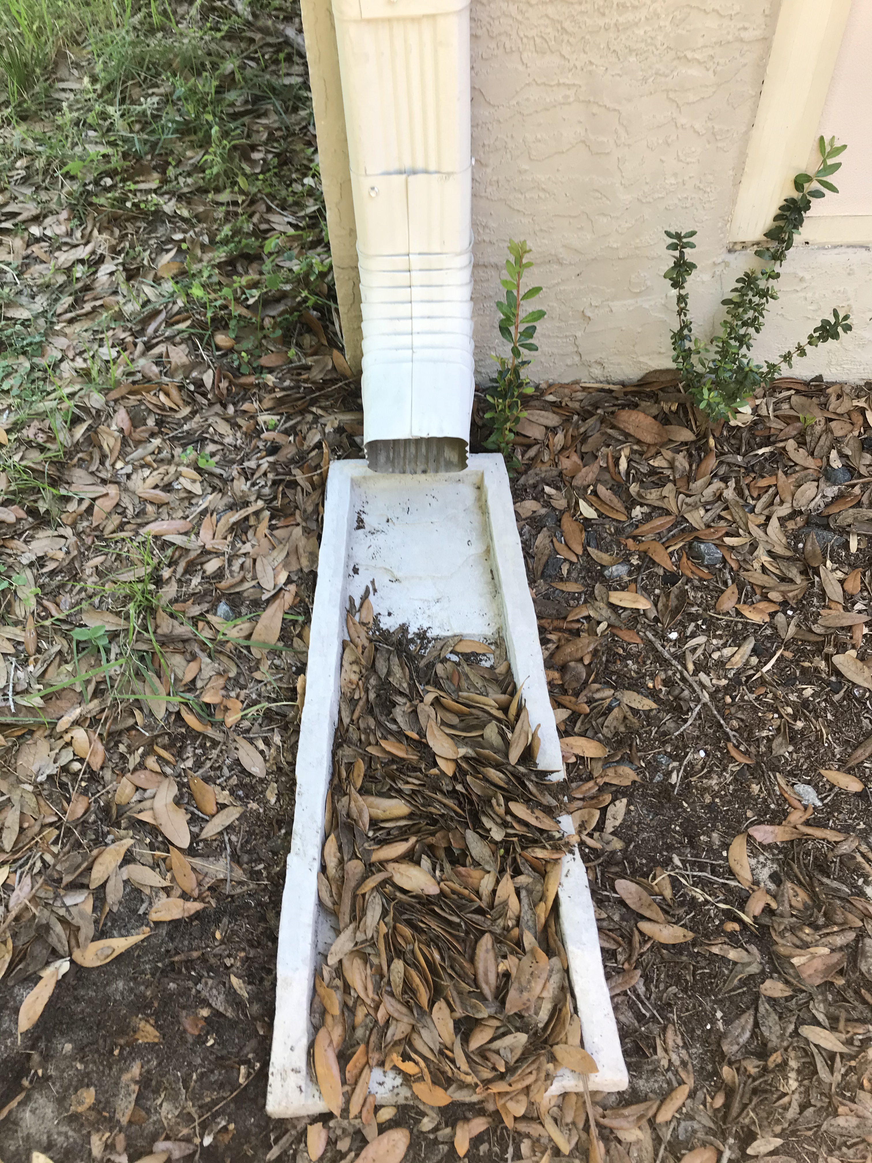 130CF3D3-B8E3-44AE-9EE2-D5EF781AEF40