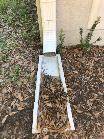 130CF3D3-B8E3-44AE-9EE2-D5EF781AEF40