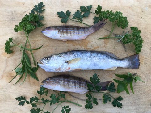 1E45A774-81C1-4B92-89BA-7B601F93039F