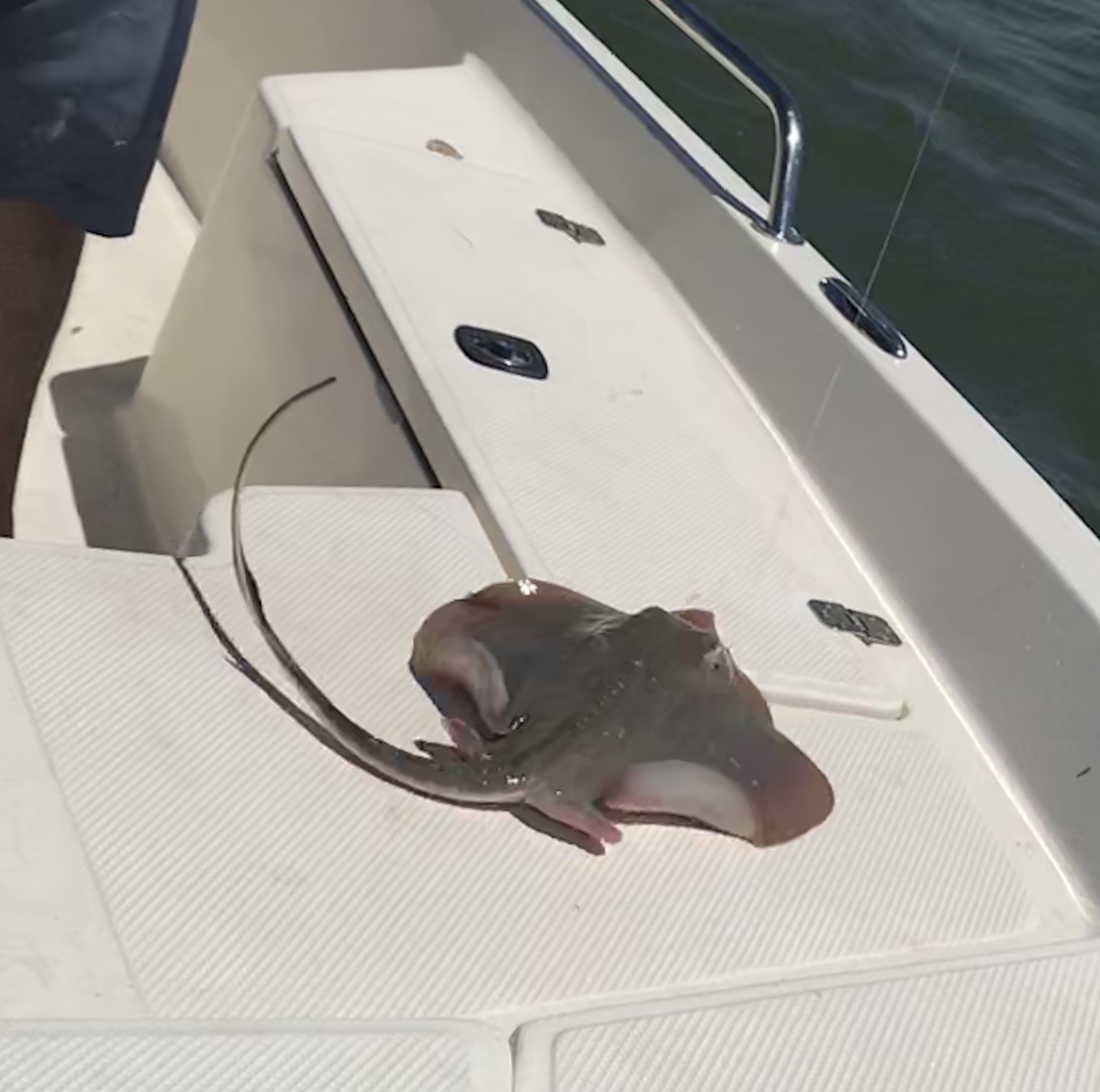 26FE2FF6-E2A4-4F57-B93B-51FD52CDDEFB