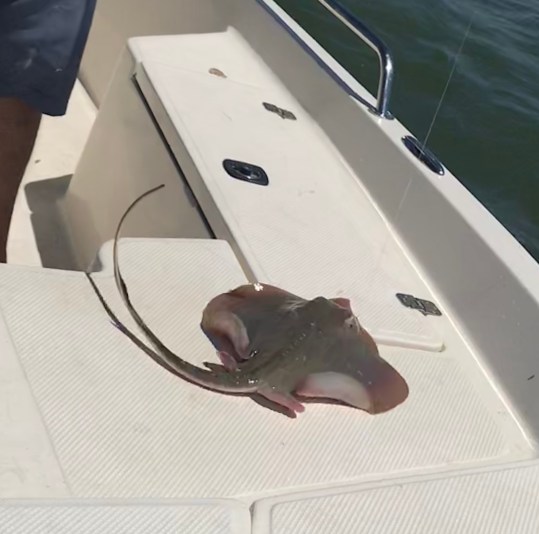 26FE2FF6-E2A4-4F57-B93B-51FD52CDDEFB