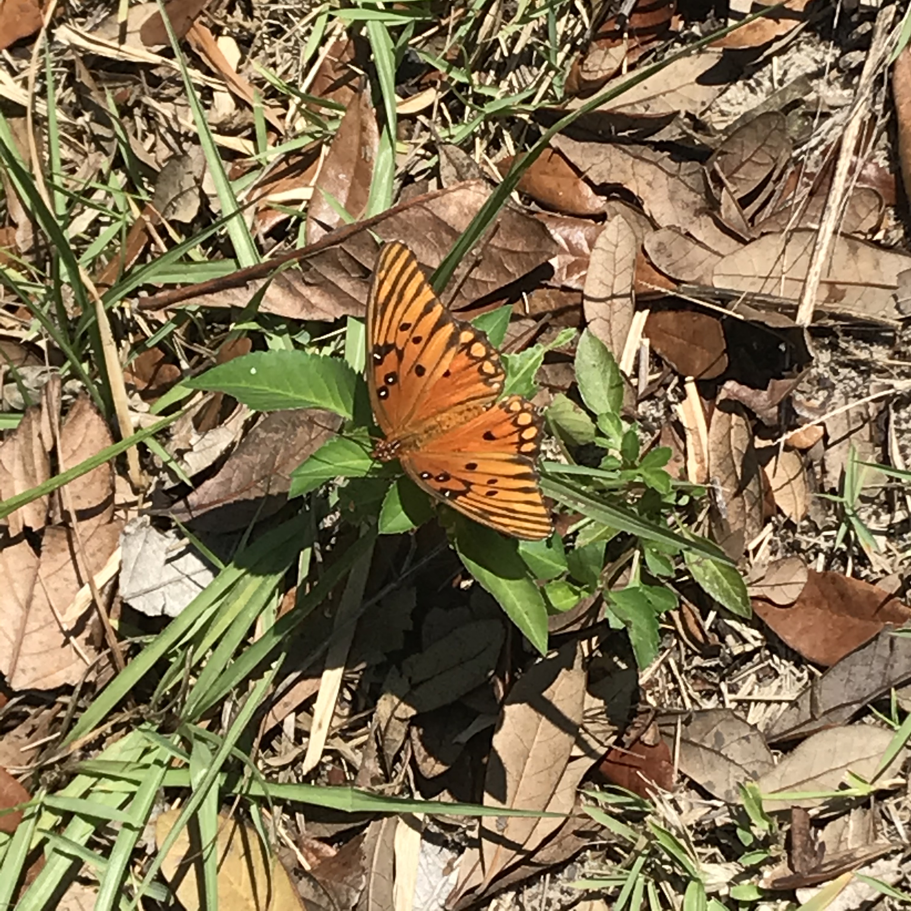 2781F46C-2D41-41D6-A526-46E02D15D38C